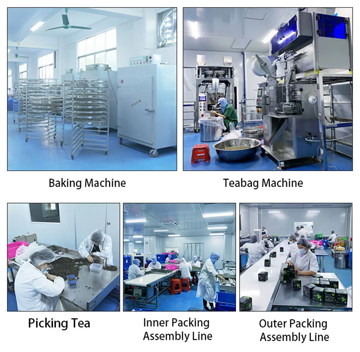 Equipment 2 jpg
