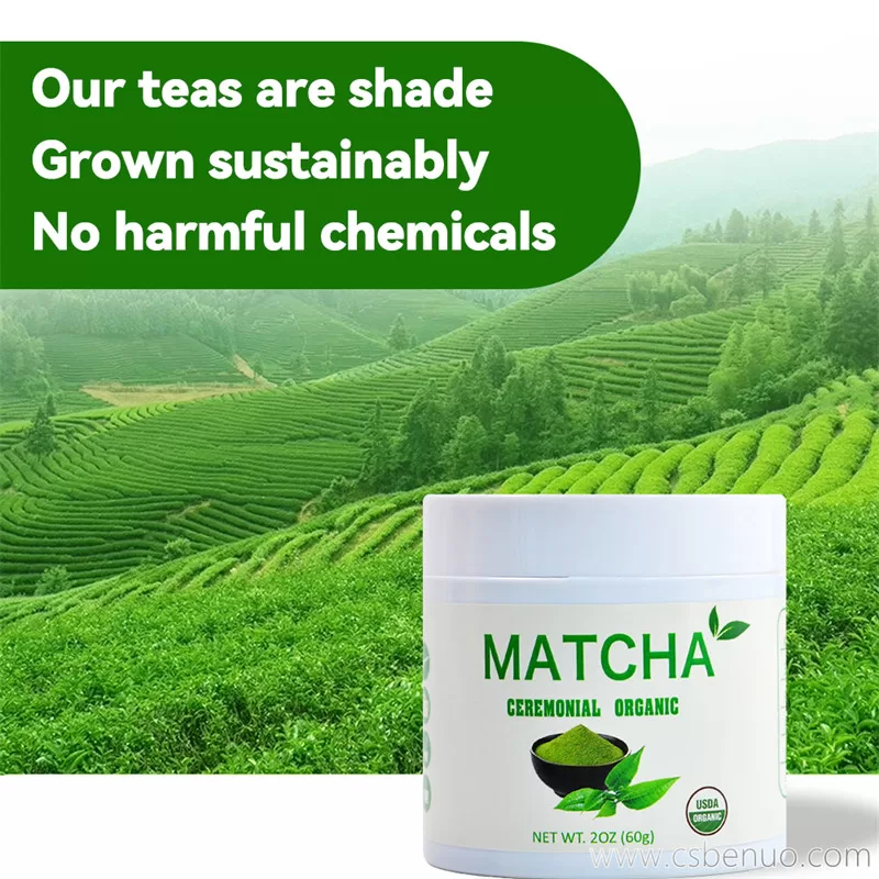 Private Label Green Tea Powder Organic Ceremonial Grade Matcha