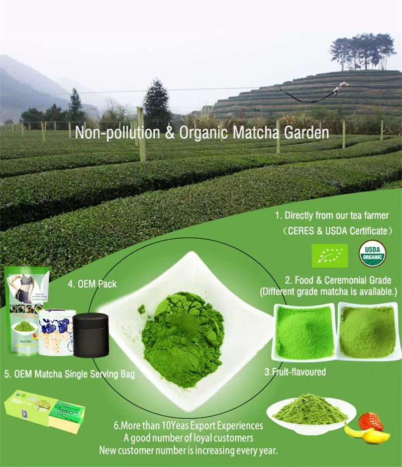 Organic Natural Matcha Powder Tea To Go