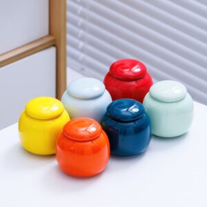 Small Ceramic Matcha Container Wholesale - 130ml Airtight Jar (6)